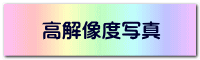 高解像度写真